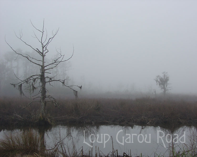 Fog on Bayou Paquet 1
